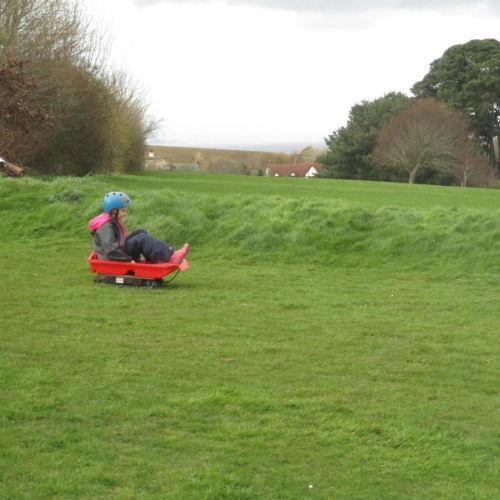 Grass Sledging (2)